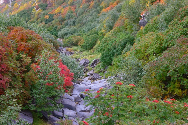 １０月４日、　　その２　　「御岳登山」　特集！_a0130586_18393095.jpg