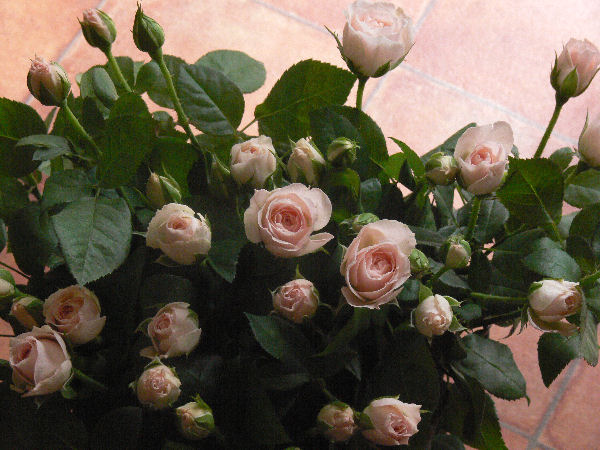 e0140986_16593634.jpg