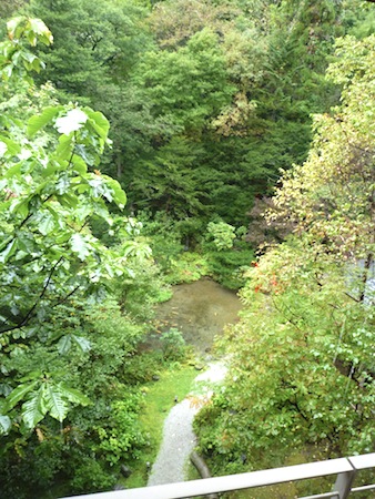 e0194987_2233482.jpg