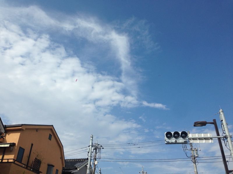 d0135694_9495517.jpg