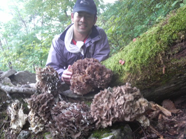 天然マイタケ採ったど~3 山の恵みに感謝_d0129296_23113485.jpg