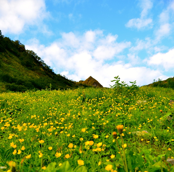 白馬三山縦走日記 3_e0111396_18412623.jpg