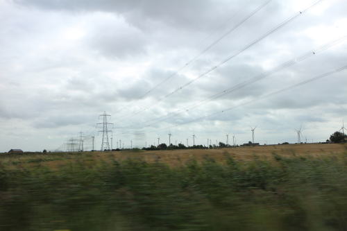 c0090198_335464.jpg