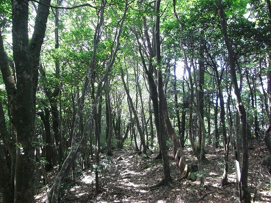 f0187402_13475930.jpg