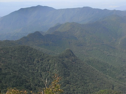 f0187402_1348167.jpg