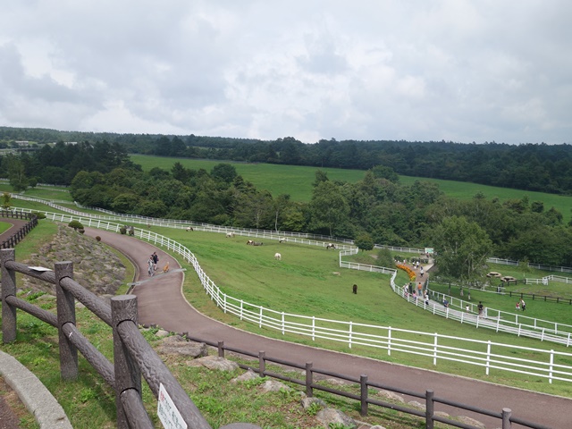 a0167803_1346131.jpg