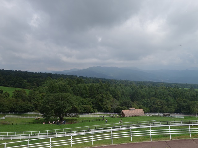 a0167803_13463559.jpg