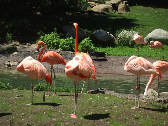 c0062603_12154761.jpg