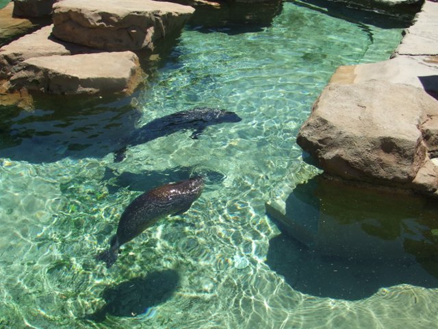 c0062603_121621.jpg