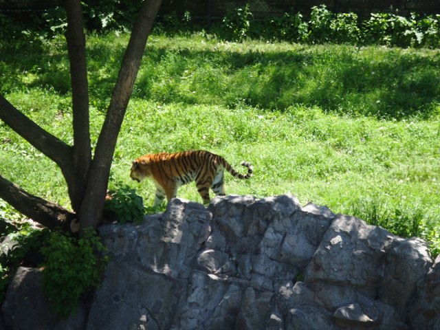 c0062603_12163686.jpg