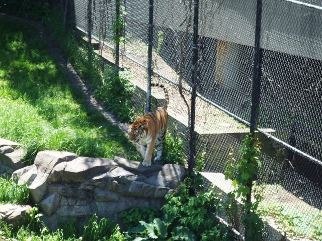 c0062603_1217842.jpg