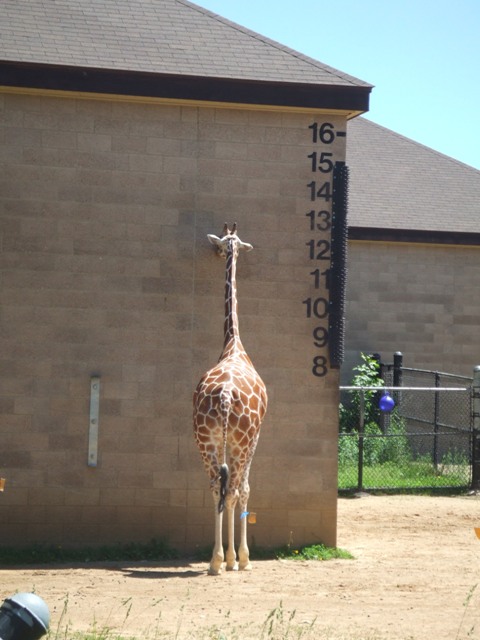 c0062603_12182725.jpg