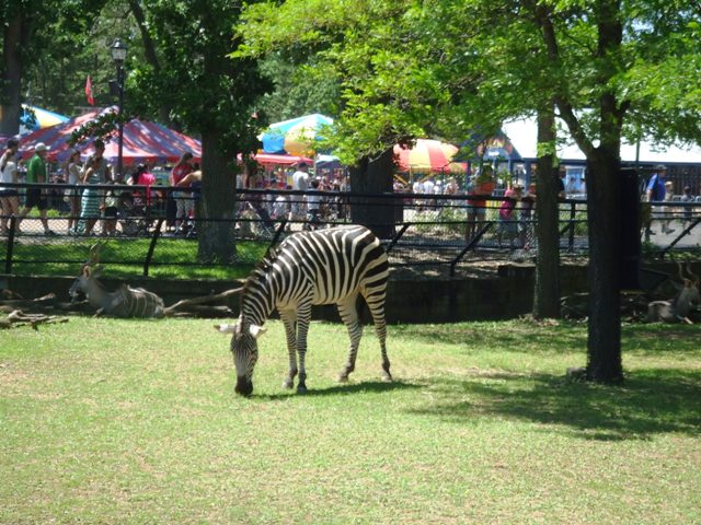c0062603_1218827.jpg