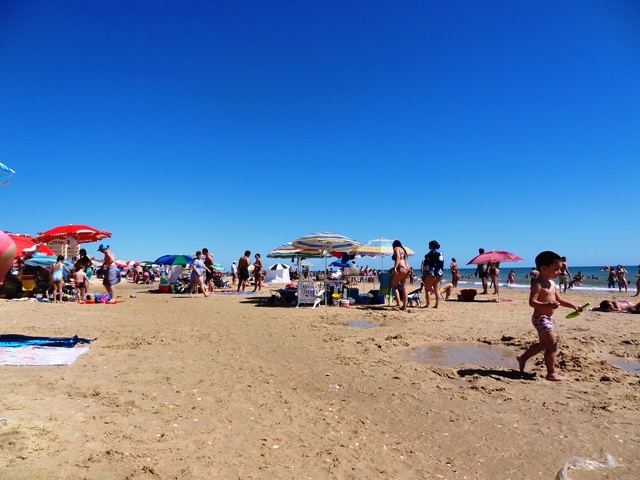 c0151704_16341964.jpg