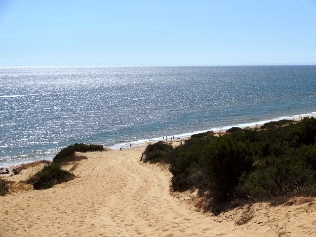 c0151704_1639556.jpg