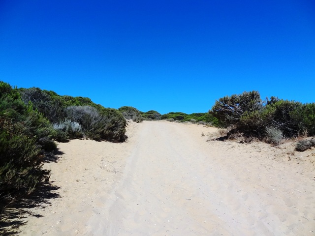 c0151704_1641819.jpg