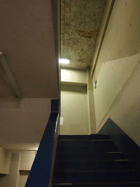 c0134408_21591375.jpg