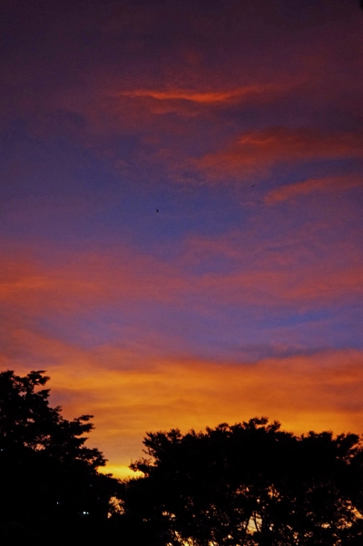c0156908_7125237.jpg
