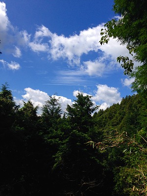 b0062010_1134429.jpg