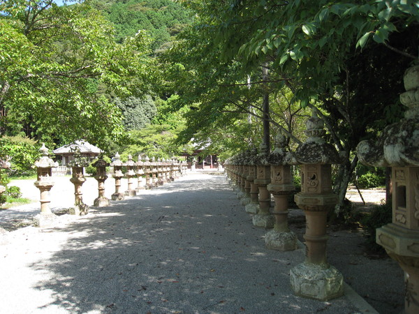 大歳金刀比羅神社(兵庫県多可町、おおとしこんぴらじんじゃ)_d0287413_13442289.jpg