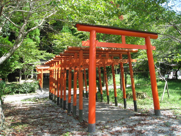 大歳金刀比羅神社(兵庫県多可町、おおとしこんぴらじんじゃ)_d0287413_13464493.jpg