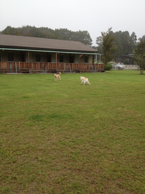 e0254813_2104030.jpg