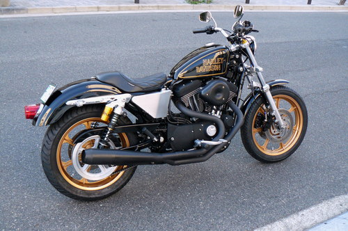 \" XL1200R \"_b0160319_1233086.jpg