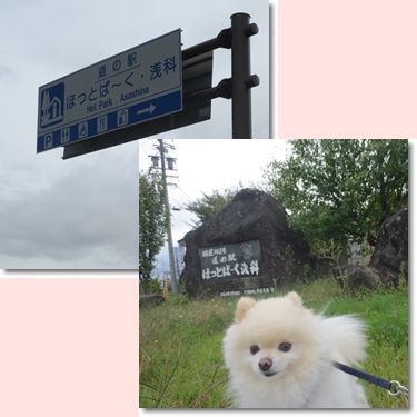 ＜道の駅「ほっとぱーく　浅科」へ･･･＼(^o^)／＞_b0167519_12353070.jpg