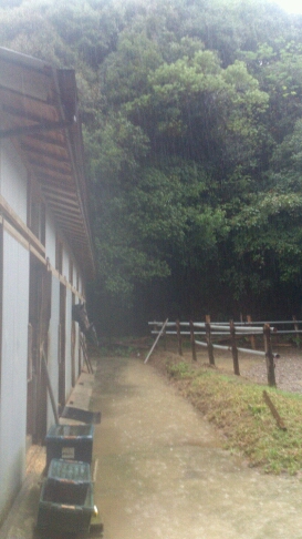 b0187620_2038052.jpg