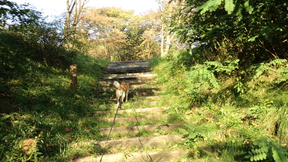 e0227023_5484139.jpg
