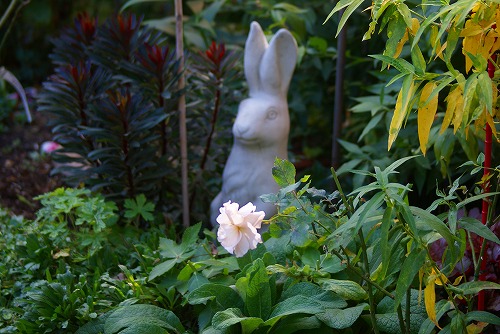 秋の寄せ植え♪_f0170524_8545022.jpg