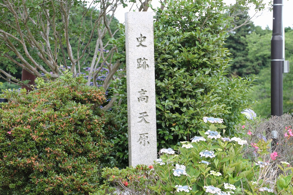 b0162728_8485868.jpg