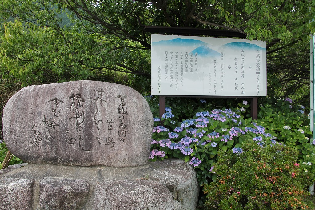 b0162728_8492975.jpg