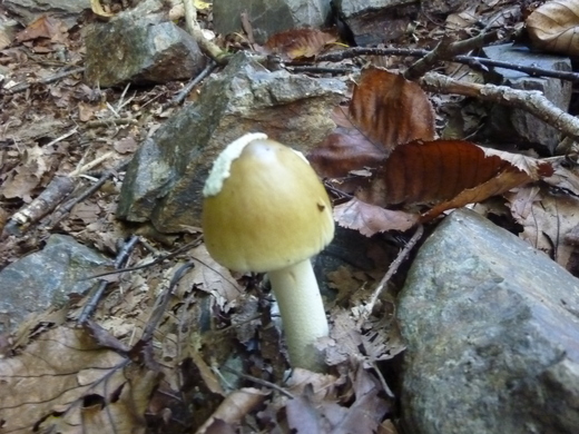 b0298935_13483415.jpg