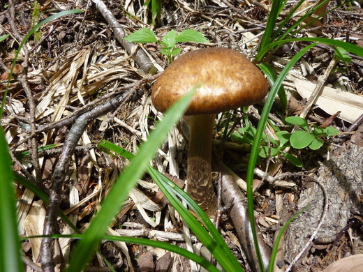 b0298935_13504034.jpg