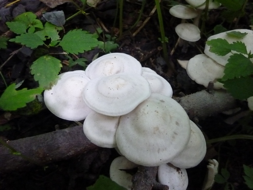 b0298935_14114021.jpg