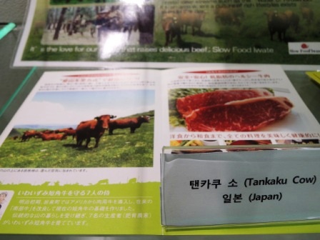 「アシオグスト２０１３ＩＮ韓国」報告２～食と農の大博覧会_b0206037_1452760.jpg