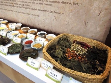 「アシオグスト2013IN韓国」報告2~食と農の大博覧会_b0206037_15365750.jpg