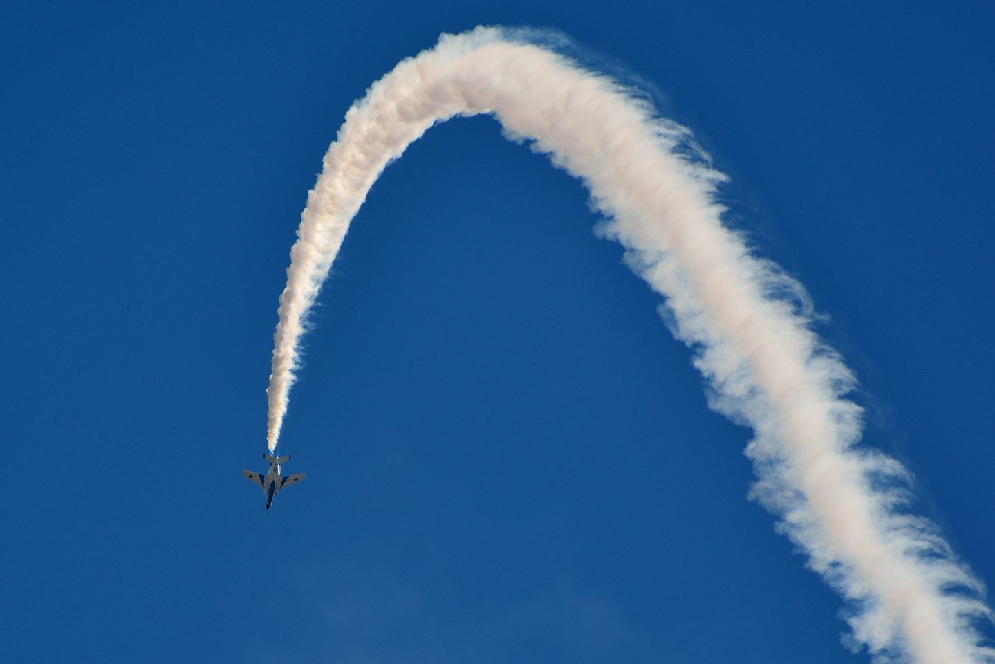 d0172537_2171859.jpg