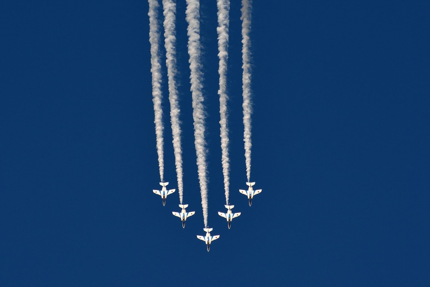 d0172537_2173250.jpg