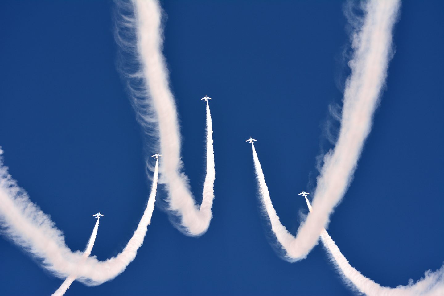 d0172537_2182718.jpg