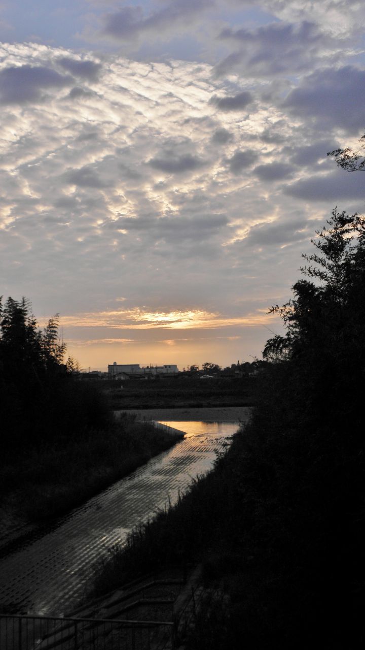 c0172139_93816.jpg