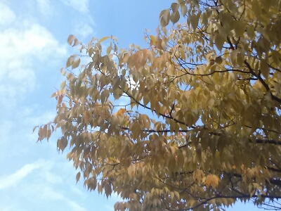 c0289939_10343028.jpg