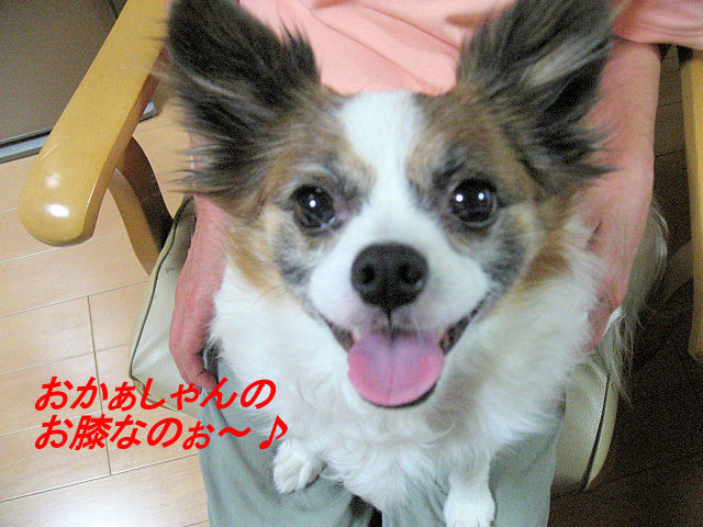 a0149240_2203375.jpg