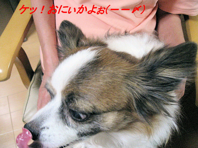 a0149240_22112547.jpg