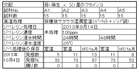 クレマチスの早期発芽に向けて　⑩良し悪し_c0025140_12221844.jpg