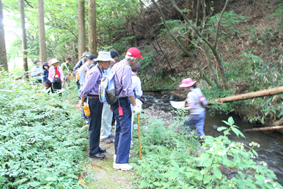 『第12回 ふるさと岡山の森を訪ねる旅』 後編レポート_b0211845_19384530.jpg