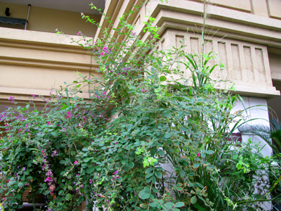 d0084750_23101987.jpg