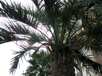 d0084750_23111450.jpg