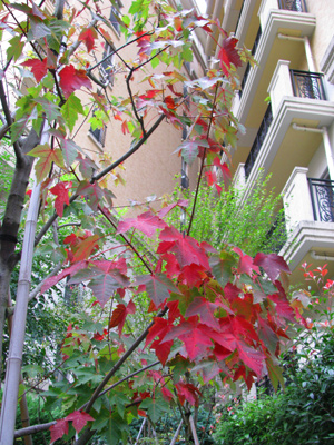 d0084750_2362957.jpg